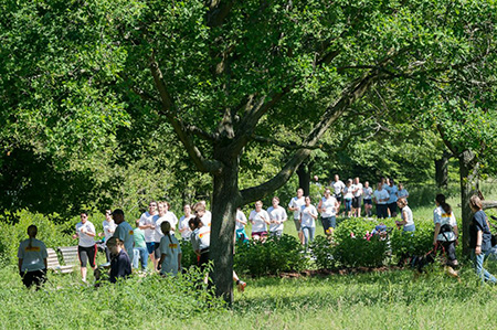 Aegidiuslauf 2014